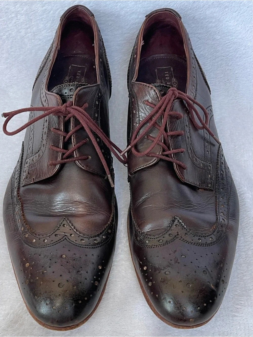 Ted Baker Gryene Derby Brown Wingtip Dress Shoes Business Classic Preppy Office